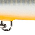 bleeding original shad