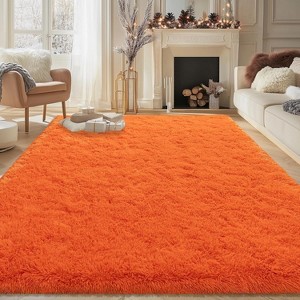 Area Rugs for Living Room Bedroom, Non-Slip Fluffy Soft Shag Carpet for Kids Home Dorm Decor - 1 of 4