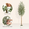 5ft Artificial Olive Tree with White Cement Planter and Green Moss – Realistic Faux Silk Plant with Natural Wood Trunk,1 PCS - 4 of 4