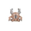 Pokemon Center: Sitting Cuties: Pinsir Plush # 127 -  Generation 1 - 6 In - 2 of 3