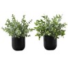 NicBex 2PC Artificial Plants Eucalyptus Grass, Fake Plants in Black Pots, Tabletop Faux Plants Indoor for Living Room, Windowsill Decor - 3 of 4
