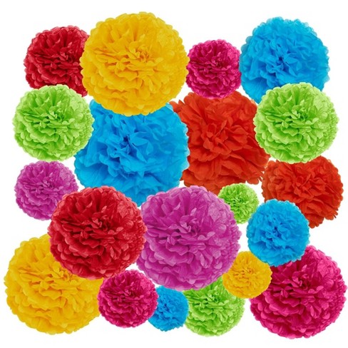 Epiqueone 20-piece Tissue Paper Pom Poms Party Decoration Kit - Rainbow ...