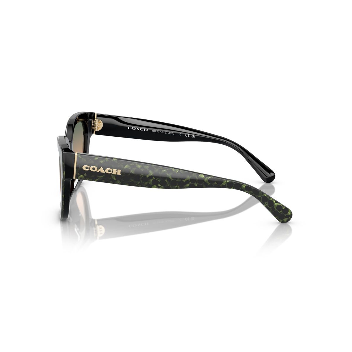 Coach HC8379U 54mm Female Butterfly Sunglasses - thumbnail 3