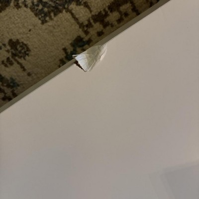 Guest review image 2 of 2, zoom in