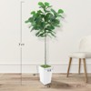 Artificial Tree in Pot with Realistic Leaves & Natural Wood Trunk 5FT/6FT/7FT/8FT - 2 of 4