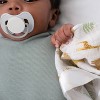 aden + anais Essentials Security Baby Blankets - 2pk - 3 of 3