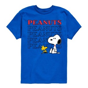 Boys' - Peanuts - Snoopy Woodstock Short Sleeve Graphic T-Shirt - 1 of 4