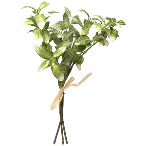 Northlight Satin Pothos Leaf Artificial Bundles - 13" - Green - Set of 6 - 1 of 4