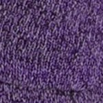 radiant purple soft iris