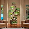 Fortune Candy 61" Tall Corner Shelf with LED Lights, Modern Display Shelf for Books, Plants, and Pet, MDF+Metal - 2 of 4