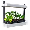 SunBlaster SL1600199 T5HO Micro T5 Grow Light Garden w/Reflector & 4 Seedling Trays for Flower, Herbs, and Veggie Seed Starting or Plant Propagation - 3 of 4