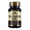 Windmill Beta Carotene 25,000 IU Softgels -100 Ct - 2 of 3