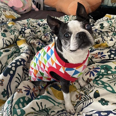 Colorful Triangle Print Dog Pajamas - Xl - Wondershop™ : Target