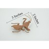 Collectible Wildlife Gifts | Praying Mantis, Deroplatys, Dead leaf mantis, High Quality, Rubber Insect, Realistic,  Toy, Gift,  3"   CH639 BB168 - 2 of 4