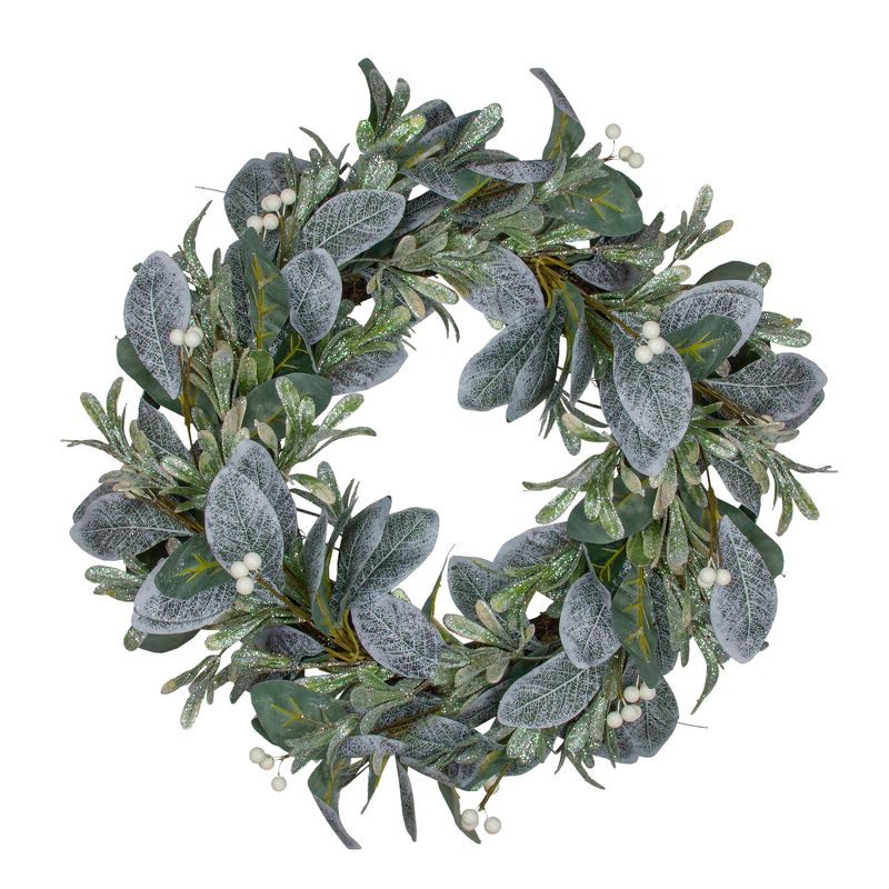 Northlight Iced Leaves and Winter Berries Artificial Christmas Wreath - 24 inch, Unlit, 1 of 6