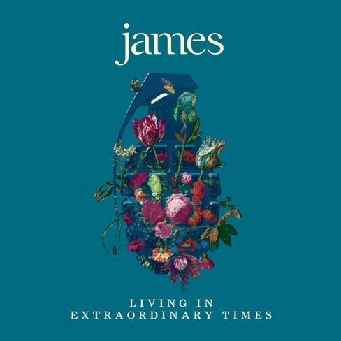 James - Living in Extraordinary Times (Vinyl) - image 1 of 1
