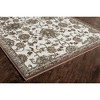 Rugs America Monaco Oriental Transitional Area Rug - 2 of 4
