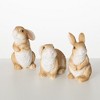 Sullivans 3.75" & 5" Outdoor Brown Bunnies Set of 3 - 4 of 4