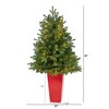 Nearly Natural 3.5-ft Washington Fir Artificial Christmas Tree with 50 Clear Lights in Tower Planter - 3 of 4