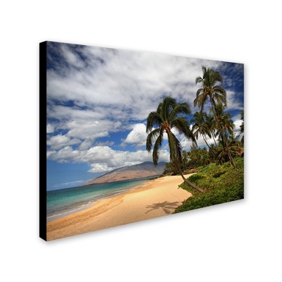 Trademark Fine Art -Pierre Leclerc 'Kamaole Tropical' Canvas Art