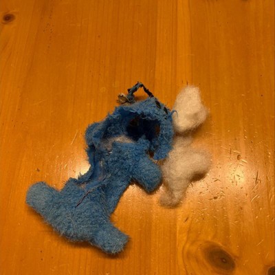 Multipet Loofa The Original Dog Toy - Blue - 6 : Target