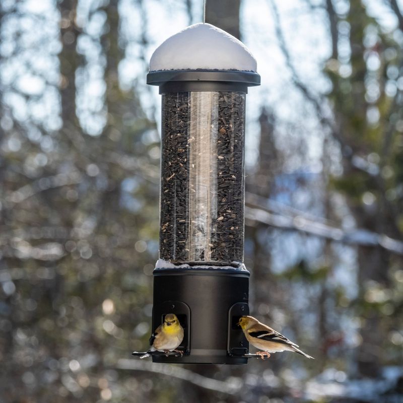 Nature&#39;s Way Bird Products 3.1qt Squirrel Shield Metal Feeder 17.25&#34;, 3 of 10
