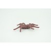Collectible Wildlife Gifts | Spider,  Rubber Insect, Educational, Realistic Hand Painted,  Model,   Gift,     2"   US19 B44 - 4 of 4