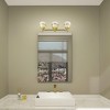 Livex Lighting Oldwick 3 - Light Vanity in  Polished Brass - 4 of 4