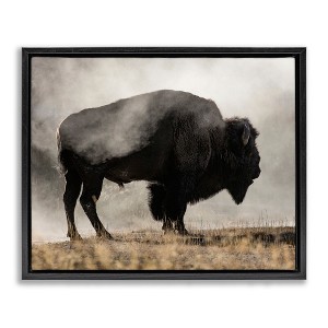 Stupell Industries Powerful Bison Grazing Foggy Rural Pasture Photography Floating Frame Canvas Art, Black, 31" x 25" - 1 of 4