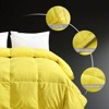APSMILE Queen Size Feather Down Comforter-All Season Duvet Insert-Bed Comforter with Piping-Hotel Bedding Comforters 90"x90" - 3 of 4