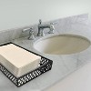 Mesh Guest Towel Tray Black - Popular Bath Popular Home - 4 of 4