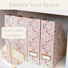 Blu Monaco Foldable Magazine File Holders - Set of 4 or 6 - Many Colors and Designs to Choose From - 4 of 4