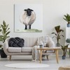 Stupell Industries Farmhouse Fuzzy Sheep Portrait Canvas Wall Art - 2 of 4