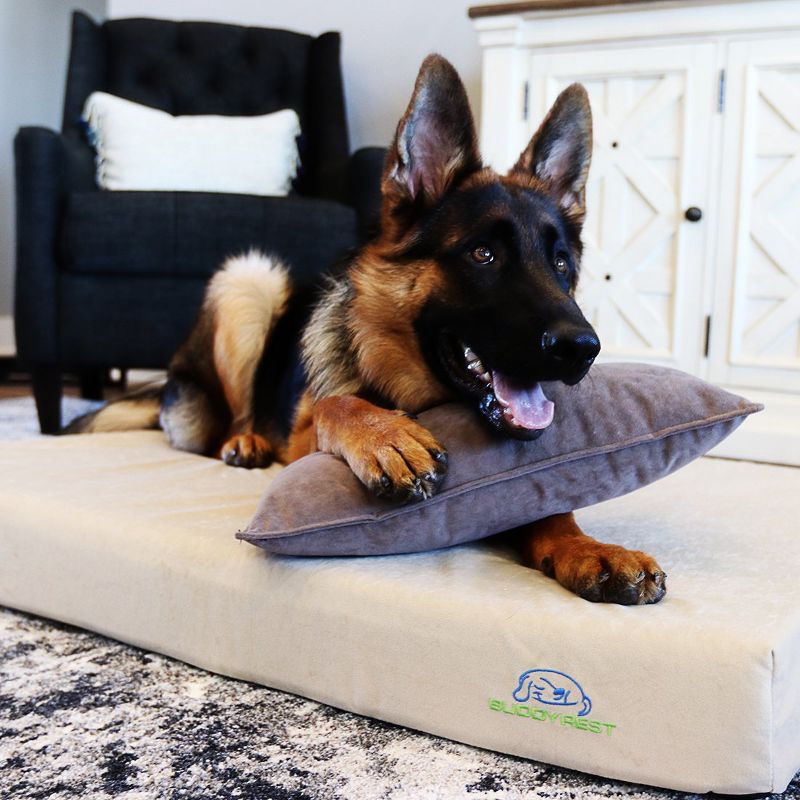 BuddyRest Comfort Deluxe Memory Foam Dog Bed, 3 of 9