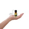 Plantlife Clean House Essential Oil Blend – 100% Pure & Therapeutic Grade – Natural, Undiluted & Refreshing – No Additives – 10 ml Aromatherapy - 3 of 3