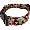 Country Brook Petz HossFit Jr Wide Deluxe Dog Collar - Floral Collection - 2 of 4