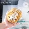 Neptune Caribbean Sea Sponge 2 Pack, Medium, Approx. 5-6 inches - 3 of 4
