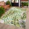 Area Rug Machine Washable Low Pile Non Slip Rugs Palm Tree Leaf Area Rug Foldable Stain Resistant Indoor Carpet for Living Room Bedroom Dining Room - 3 of 4