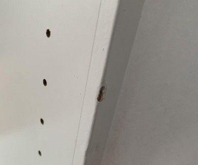 Guest review image 3 of 3, zoom in