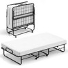 Costway Twin Size Folding Bed 38" x 75" Rollaway Guest Bed Portable Sleeper Bed - 2 of 4