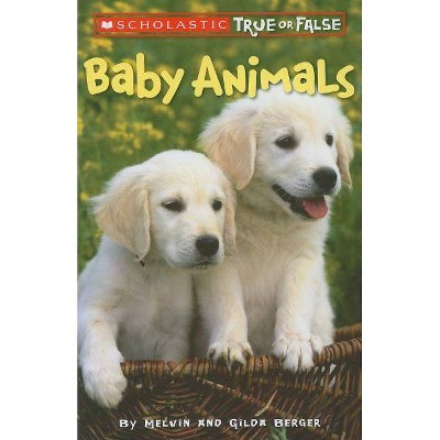 Baby Animals (Scholastic True or False), 1 - by  Melvin Berger & Gilda Berger (Paperback)