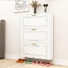 Bekrvio Slim Narrow Metal Shoe Cabinet with 3 Flip Drawers, Breathable Freestanding Hidden Organizer, Shoe Storage Rack for Entryway, Hallway - 4 of 4
