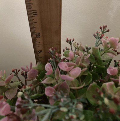 Guest review image 4 of 4, zoom in