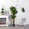 Nearly Natural 6-ft Corn Stalk Dracaena Artificial Plant (Real Touch) - 4 of 4