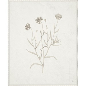 Amanti Art Plants from the Meadow V by Sarah Adams Canvas Wall Art Print Framed 23 x 28-in. - 1 of 4