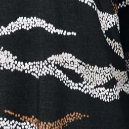 black dot zebra