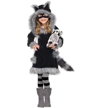 Fun World Sweet Raccoon Toddler Costume, 3T-4T