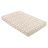 Babyletto Beach Bum Muslin Mini Crib Sheet - 2 of 4