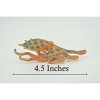 Collectible Wildlife Gifts | Octopus, Blue-ringed octopuses, Octopodes, Octopoda,Museum Quality, Hand Painted, Hard Rubber, Gift, 4 1/2"  CH299 BB181 - 2 of 4
