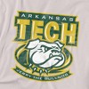 Men's Arkansas Tech University Official Distressed Primary T-Shirt - 2 of 4